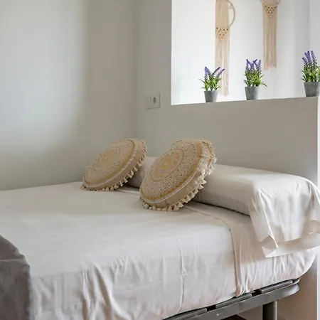 Ereta Bano Privado Pensión Alicante
